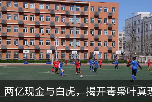 两亿现金与白虎，揭开毒枭叶真理的异彩人生